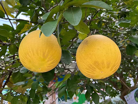種養基地