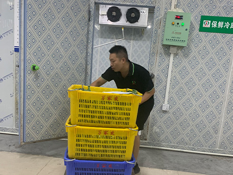 冷鏈物流