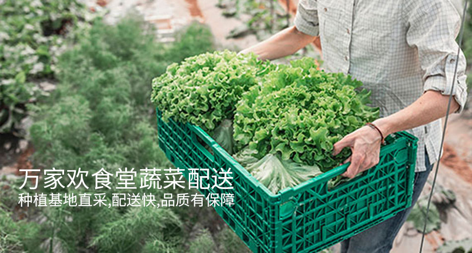 萬家歡食堂蔬菜配送,種植基地直采,配送快,品質(zhì)有保障